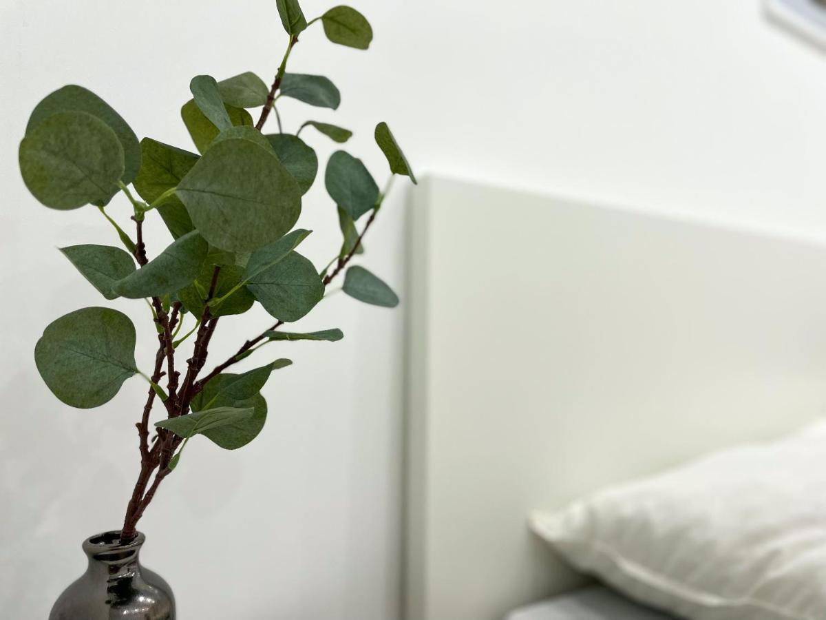Ferienwohnung Schoenes Maifeld Polch Exteriör bild